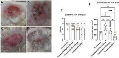 Determination of Extravasation Effects of Nal-Iri and Trabectedin and Evaluation of Treatment Options for Trabectedin Extravasation in a Preclinical Animal Model